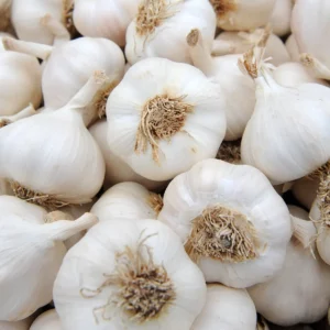 Allium Sativum | Softneck Garlic